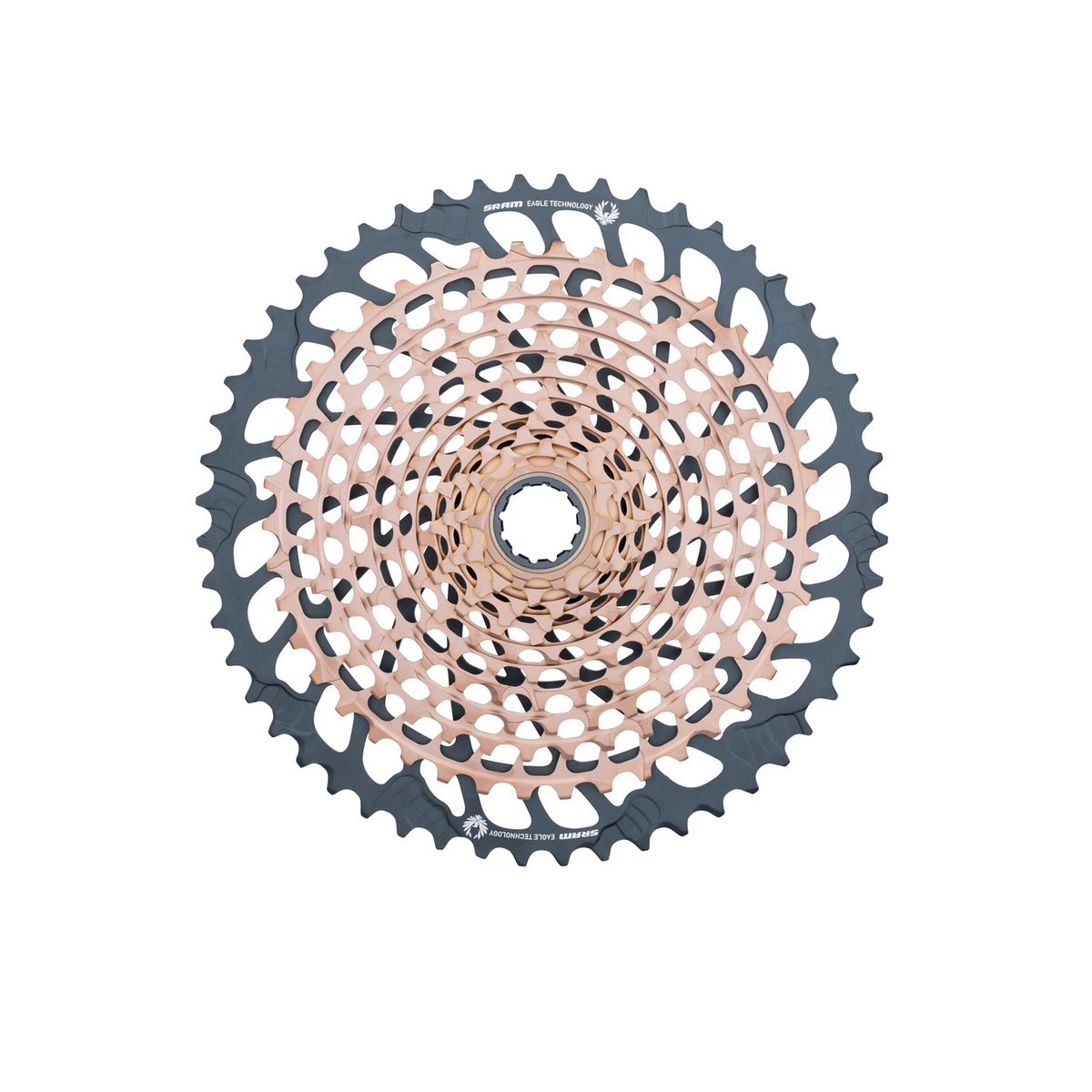 デンケン D961 Piñón XD Eagle XX1 X-Glide 2 X-Dome B1 XG1299 10-52T SRAM